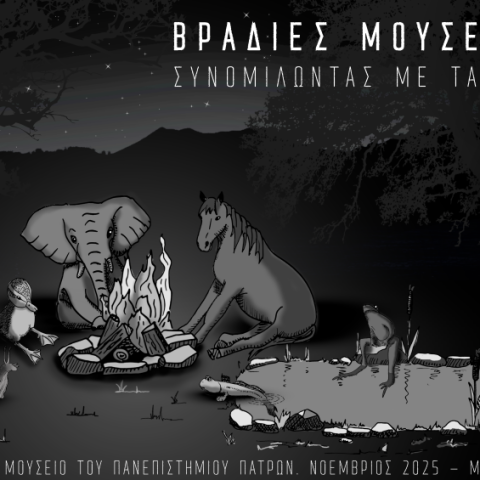 αφίσα εκδήλωσης