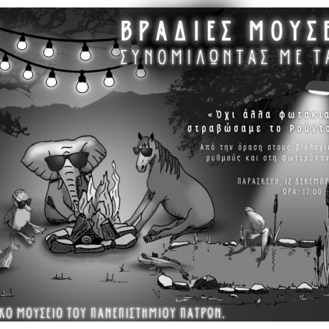 αφίσα εκδήλωσης